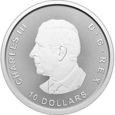 Bull and Bear (2025) - 2 Oz - investeerimishinnaga hõbemünt