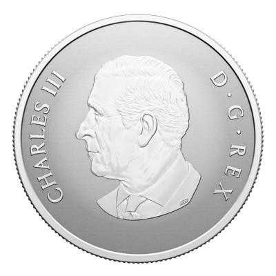 "Tere tulemast maailma" 2025 - 1/2 oz - hõbedast kinkemünt