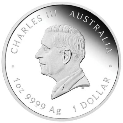 "One Love" 2025 - 1 Oz - Hõbemünt