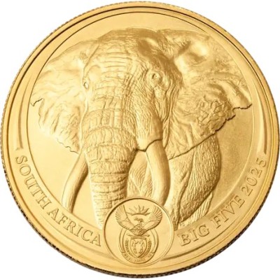 Big Five Elephant (2025) - 1 Oz - kuldmünt