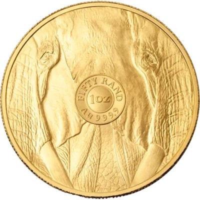 Big Five Elephant (2025) - 1 Oz - kuldmünt