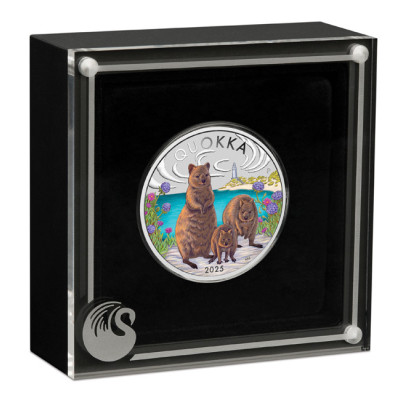 Austraalia Quokka (2025) - 1 Oz - hõbedast kollektsioonimünt