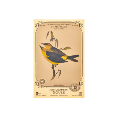 John ja Elizabeth Gould Aurum - H.M.S. Beagle'i kollektsioon