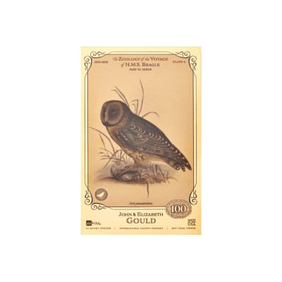 John ja Elizabeth Gould Aurum - H.M.S. Beagle'i kollektsioon