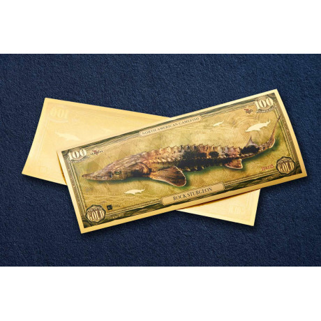 Rock Sturgeon - 24k kuldne arve - I seeria