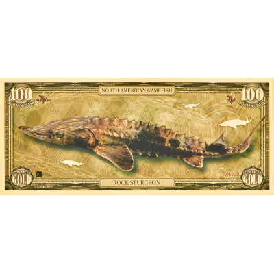 Rock Sturgeon - 24k kuldne arve - I seeria