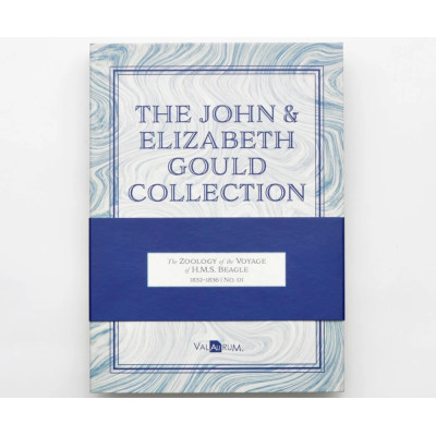 John ja Elizabeth Gould Aurum - H.M.S. Beagle'i kollektsioon